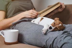 Woman relaxing on the sofa reading book with jack russel puppy dog photo