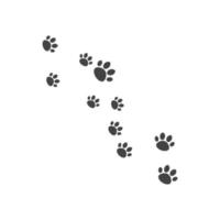 Paw background template vector