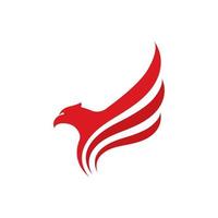 halcón, águila, pájaro, logotipo, plantilla, vector