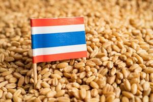 Grains wheat with Thailand flag, trade export and economy concept. photo