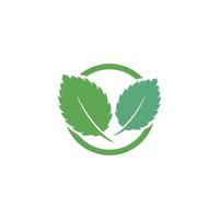 Mint leaf vector icon illustration