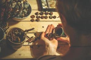 Close up sorting natural objects from forest for craft concept photo