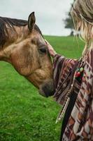 Close up horse concept photo