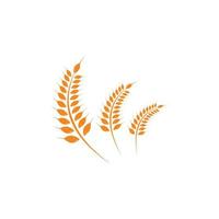 Agriculture wheat Logo Template vector icon