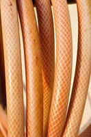 Coiled orange hose. Garden tools. Vertical image. photo