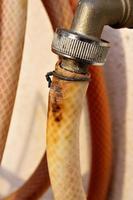 Coiled orange hose. Garden tools. Vertical image. photo