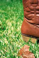 Brown boot in grass. Vertical image. photo