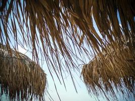 Three straw parasols on a beach viewed from below photo