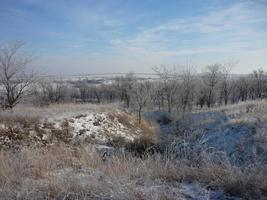 paisaje de naturaleza invernal con hermosos cielos y árboles cubiertos de nieve. Naturaleza de Ucrania. foto