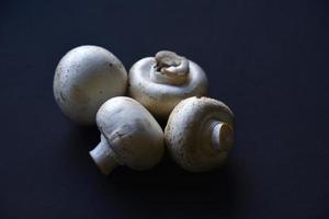 grandes champiñones blancos de champiñones sobre un fondo negro. hermosos champiñones porcini. primer plano de champiñones. foto