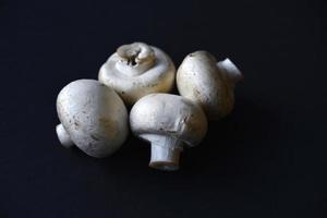 Large white mushrooms of champignons on a black background. Beautiful porcini mushrooms. Champignons close-up. photo