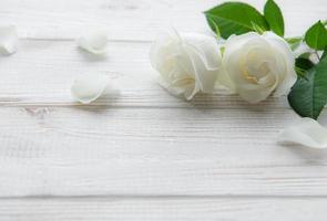 White roses on a wooden table photo