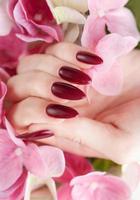 Hands of a young woman with dark red manicure on nails photo