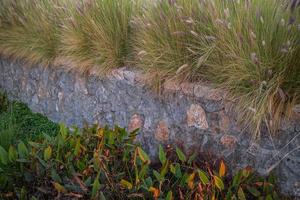 Modern ecological design of urban spaces, a canal with an environmentally friendly river bank in cities. Caring for ecology and habitat, city programs, photography for an article or news photo