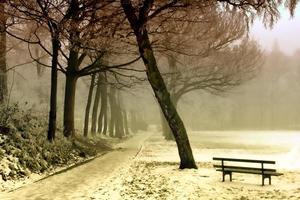 Snow Covered Park Scene photo