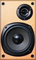 Wooden Stereo Speaker photo