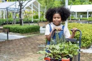 el retrato de un niño africano está eligiendo plantas de verduras y hierbas del vivero del centro de jardinería local con un carrito de compras lleno de plantas de verano para la jardinería de fin de semana y al aire libre foto