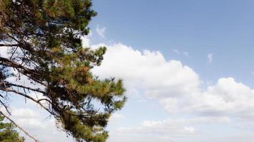 el paisaje en el paisaje otoñal de las tierras altas con vistas al campo con cielos azules, el concepto de turismo de relajación natural. foto