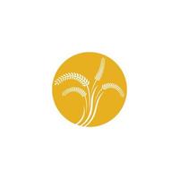 Wheat logo images vector