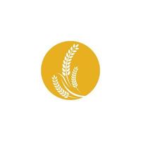 Wheat logo images vector