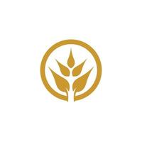 Wheat logo images vector