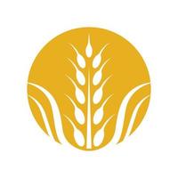 Wheat logo images vector