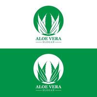 Aloe Vera Logo, Health Leaf Vector, Design Suitable For Beauty Salon, Organic Recycling, Skin Health Leaf vector