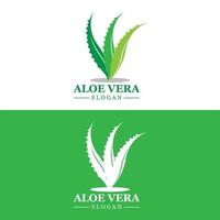 Aloe Vera Logo, Health Leaf Vector, Design Suitable For Beauty Salon, Organic Recycling, Skin Health Leaf vector