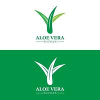 Aloe Vera Logo, Health Leaf Vector, Design Suitable For Beauty Salon, Organic Recycling, Skin Health Leaf vector