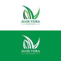 Aloe Vera Logo, Health Leaf Vector, Design Suitable For Beauty Salon, Organic Recycling, Skin Health Leaf vector