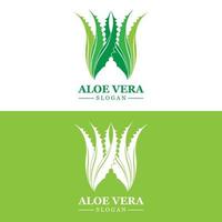 Aloe Vera Logo, Health Leaf Vector, Design Suitable For Beauty Salon, Organic Recycling, Skin Health Leaf vector