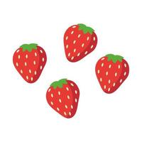 Vector illustration of strawberry fruit