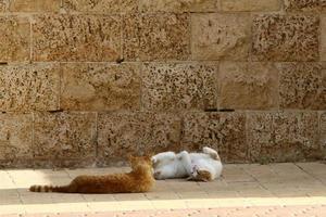 High wall made of stone and concrete. photo