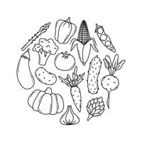 Doodle vegetables vector set. Collection of vegetables broccoli, corn, pepper, onion, garlic, asparagus. Hand-drawn style isolated on white background.