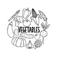 Doodle vegetables vector set. Collection of vegetables broccoli, corn, pepper, onion, garlic, asparagus. Hand-drawn style isolated on white background.