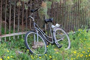 bicicleta en el parque de la ciudad cerca del mar. foto