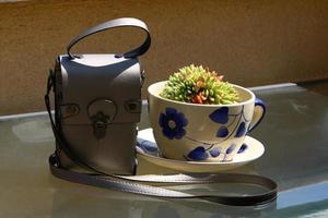 Green plants grow in a flower pot. photo