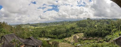 View over typical rice terraces on the island of Bali in Indonesia photo