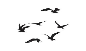 Flying Birds Silhouette vector