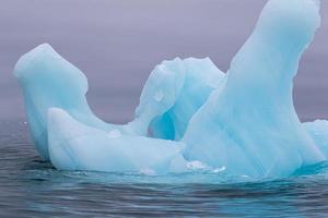 Sea Ice, iceberg in the Arctic photo