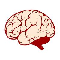 diseño de vector de cerebro humano