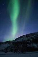 Northern lights, aurora borealis, in lapland Finland photo