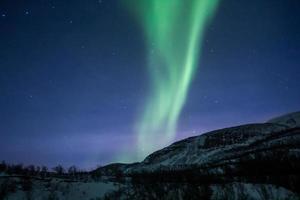 Northern lights, aurora borealis, in lapland Finland photo