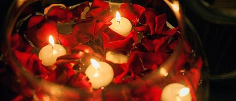 Rose petals in water photo