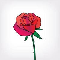 vector red rose icon isolated, hand drawn flower