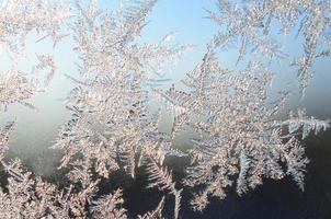 Snowflakes frost rime macro on window glass pane photo