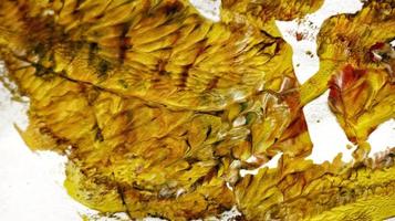Close Up of Brush Strokes On Abstract Painting photo
