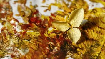 Close Up of Brush Strokes On Abstract Painting photo