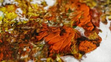 Close Up of Brush Strokes On Abstract Painting photo