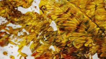 Close Up of Brush Strokes On Abstract Painting photo